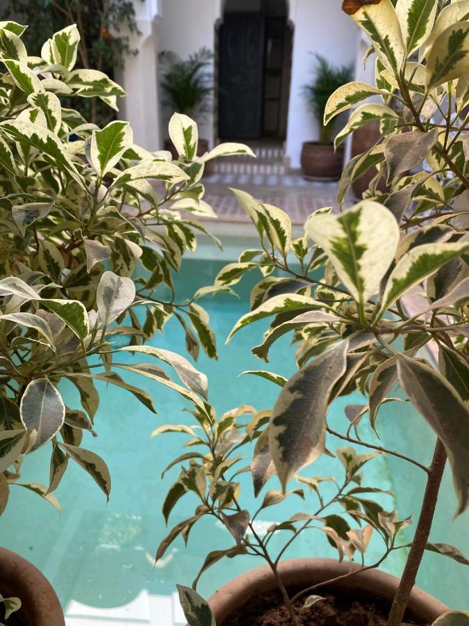 Riad Magellan Yoga And Spa Μαρακές Εξωτερικό φωτογραφία