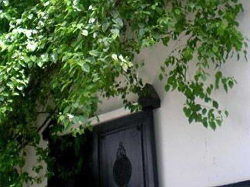 Riad Magellan Yoga And Spa Μαρακές Εξωτερικό φωτογραφία